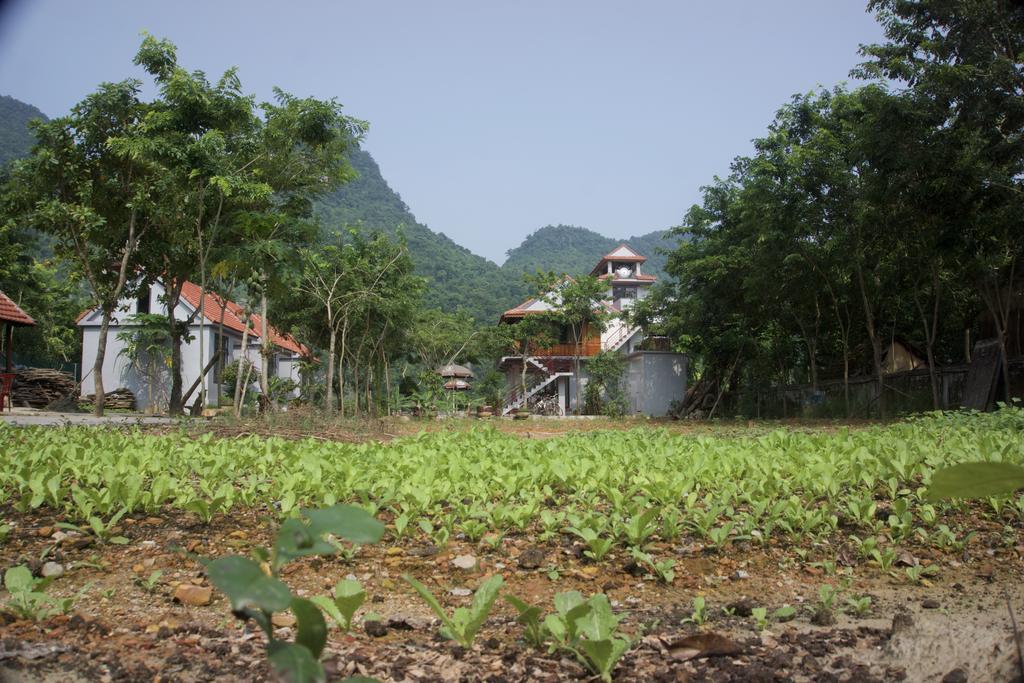 Ho Khanh'S Homestay Φονγκ Να Εξωτερικό φωτογραφία